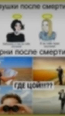 scene_output.mp4