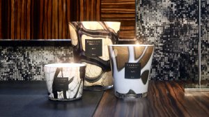 Baobab Collection HAND-BLOWN