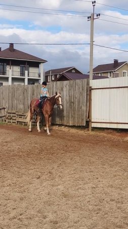 Даша и Каспер, работа над ногой облегчения.