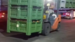 1000255044.mp4