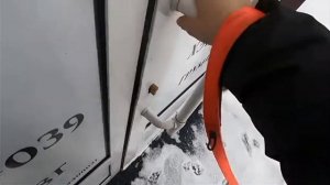 ЧЕТВЕРОНОГИЕ ДРУЗЬЯ . ЧТО С РАДОЙ?....
