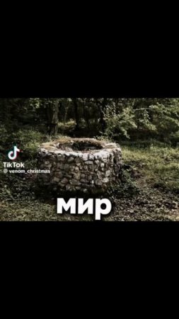 рил работает