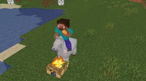 перерыв Стива