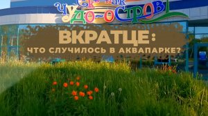 ВКРАТЦЕ: ЧТО СЛУЧИЛОСЬ В АКВАПАРКЕ?