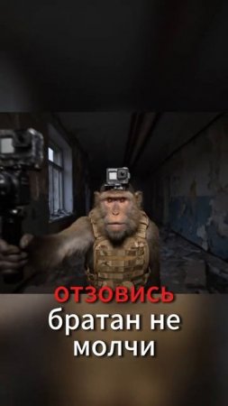 братан не молчи отзовись