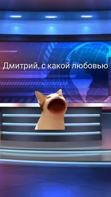 Котик ответил правильно на все вопросы, добьем 500 подписчиков? #video #meme #cat #shorts смотреть онлайн