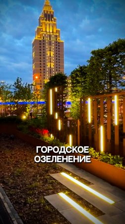Городское озеленение