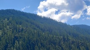 Перевал Чеке-Таман из окна автомобиля. Горный Алтай. 2025