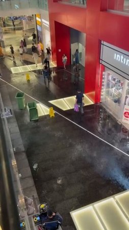 Оставайтесь по возможности дома, не паркуйте машины под деревьями и будьте аккуратны за рулём.