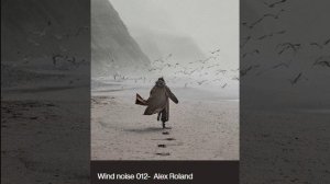 Wind Noise - Alex Roland