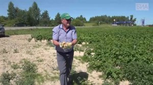 «Новости 19:32» 21.07.2025