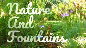Nature and fountains