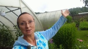 Видео привет с 6 соток 22 июля 2025 года.