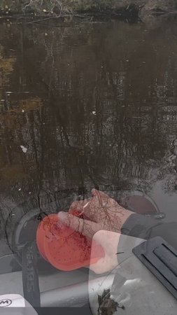 Шутка