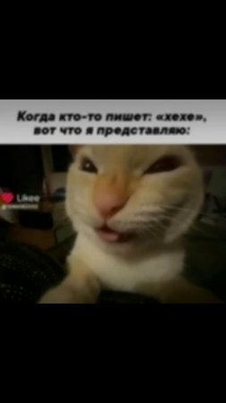 scene_output.mp4