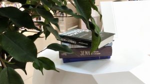 Библиотека для молодых