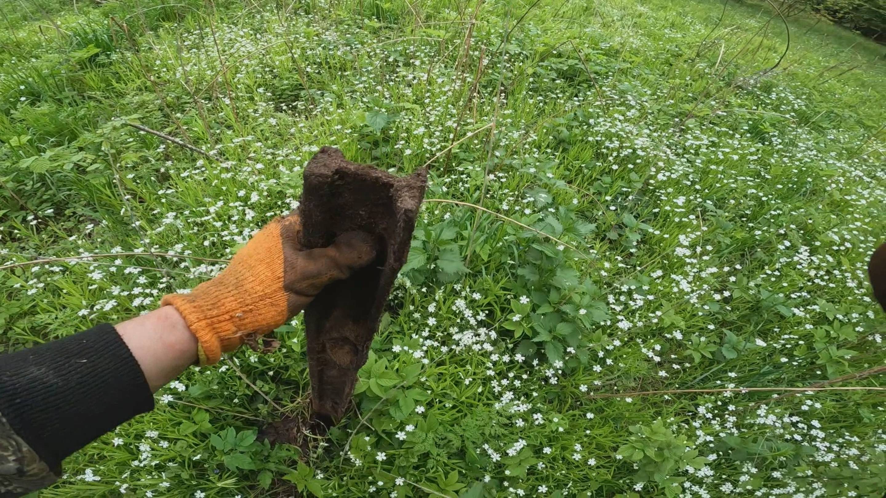 Металлокоп на урочище.Углипечи. копаем по второму кругу, а металл еще есть!!! смотреть онлайн