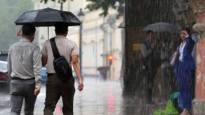 Метеоролог предупредил о ливнях с грозой на юге России