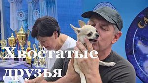 В Луганске прошел племенной смотр собак