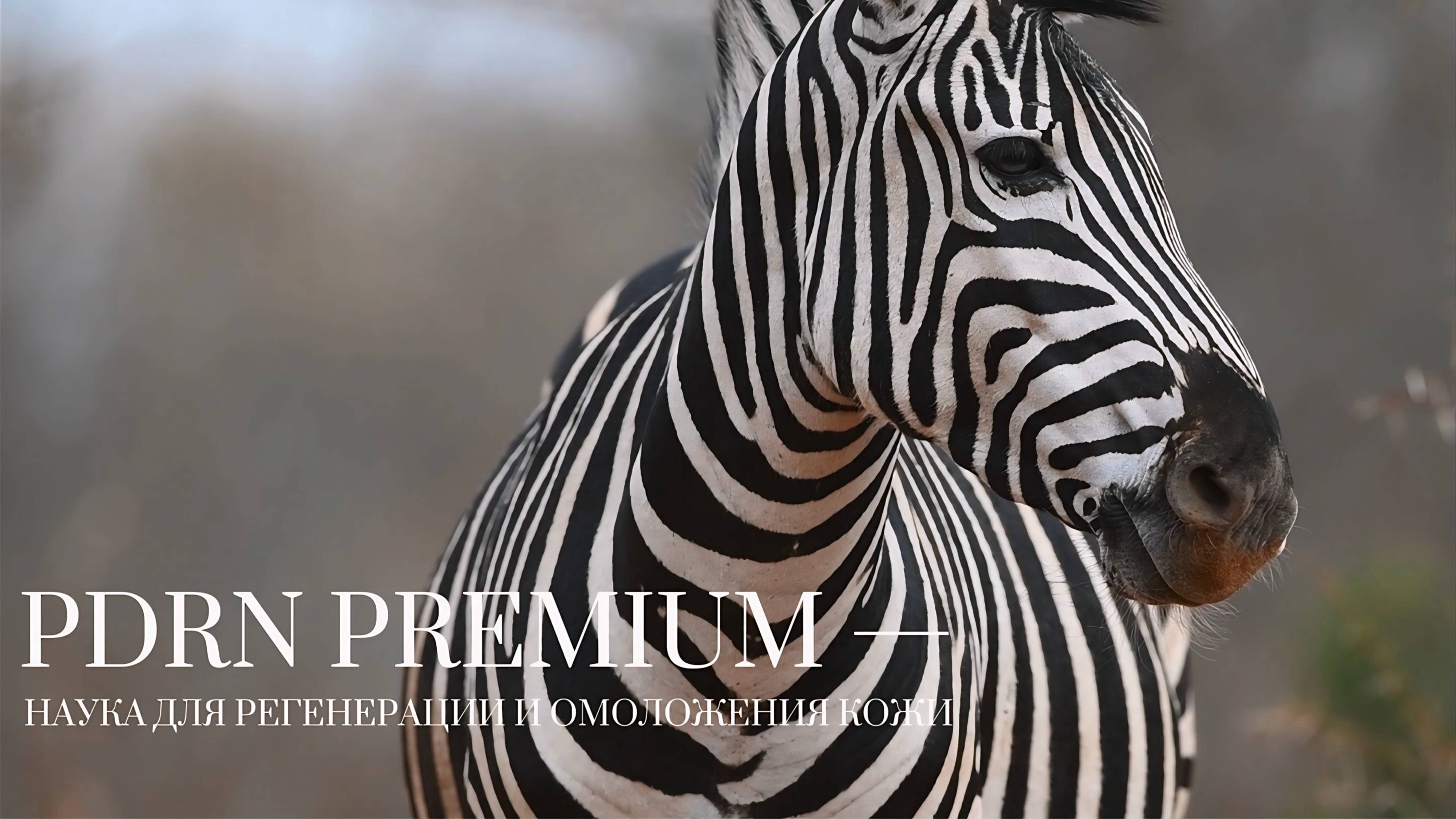 BEAUTYGEL PDRN PREMIUM смотреть онлайн