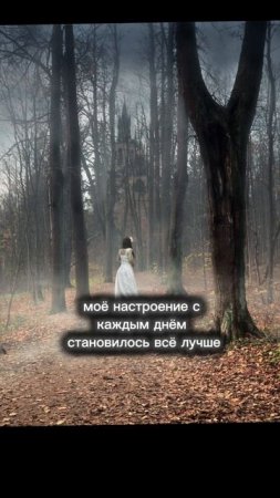 «Свет укажет» Диана Адамова #чтопочитать #букток #бойсясвоихжеланий #книги #books #книжныйтикток