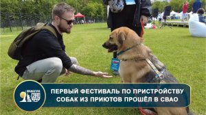 Первый фестиваль по пристройству собак из приютов состоялся в СВАО
