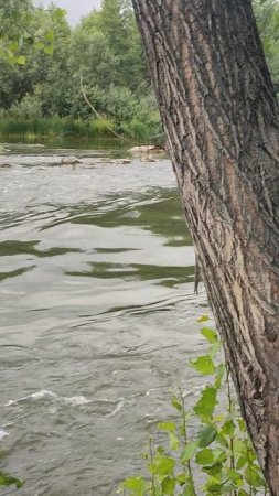 Шикарная взбучка от воды! #вода #река