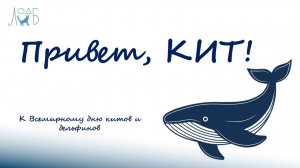 «Привет, кит!» -  к Всемирному дню китов и дельфинов