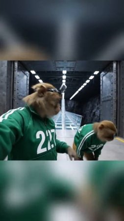 Приключения гоши 2 серия
