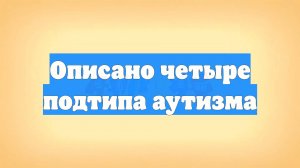 Описано четыре подтипа аутизма