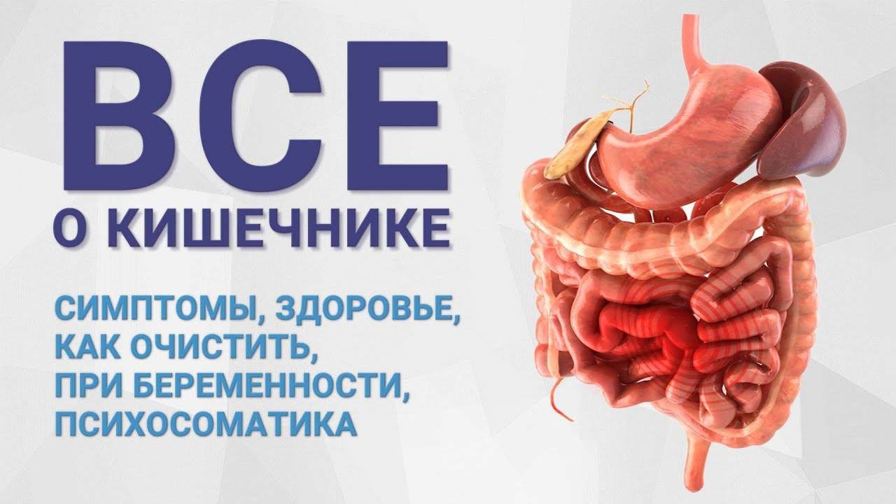 Все о кишечнике. Симптомы, здоровье, как очистить, при беременности, психосоматика