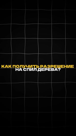 КАК ПОЛУЧИТЬ РАЗРЕШЕНИЕ НА СПИЛ ДЕРЕВА?