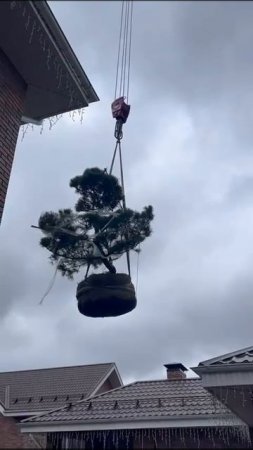 Благоустройство
и расчистка участков в Москве и МО