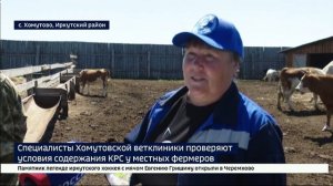 Специалисты Хомутовской ветеринарной клиники проверяют условия содержания домашнего скота