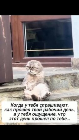 Такое лучше не спрашивать