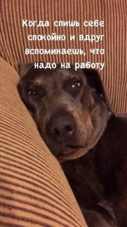 Доброе утро
