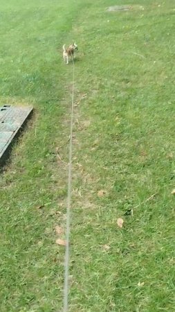 Погуляли с большим удовольствием