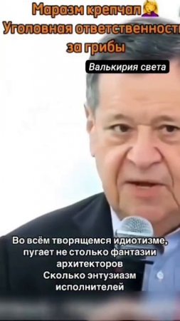 заКОНы для гоев и шикСС-99,9% им.