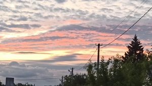 ЧТО СЕЙЧАС ПОКУПАЮ В ФИКС ПРАЙС 🛍 УКРАШАЮ ДВОР СВОИМИ РУКАМИ