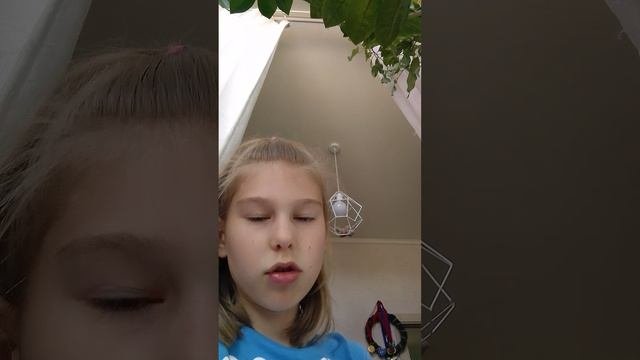 красочные камни