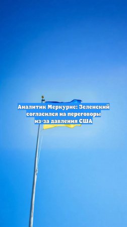 Аналитик Меркурис: Зеленский согласился на переговоры из-за давления США