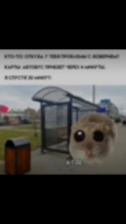 scene_output.mp4