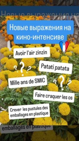 🎬 Киноинтенсив по французским фильмам — это не только просмотр шедевров, но и погружение в язык!