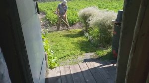 ТОТ - ЖЕ ДЕНЬ... ДЕД КОСИТ / УРА ПЕНСИЯ и по МАГАЗИНАМ / СВЕЖИЙ УРОЖАЙ / Уральское СЕЛО