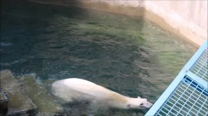 Кай забросил канистру на решётку, сидит в воде и ждёт когда её сбросят 18.07.2025