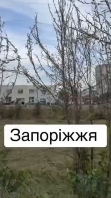 Хохлов атакует саранча. смотреть онлайн