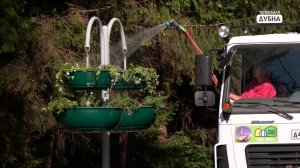 Цветами в вазонах украсили улицу Приборостроителей в Дубне