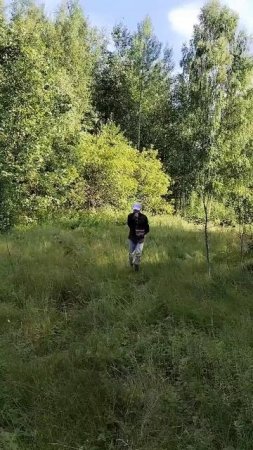 Крайний сбор полуники 2025