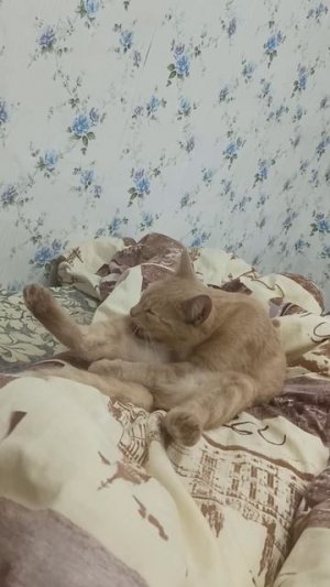 У Мэри растяжка лучше, чем у балерины 😊
