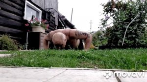 Олимпиаде '80 посвящается.mp4